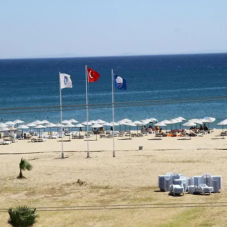 Acem Ayvalik